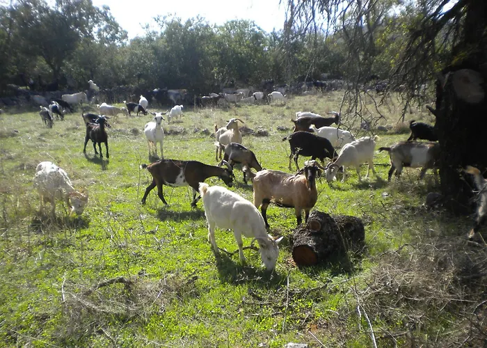 In Leonidio Near Mount Parnon