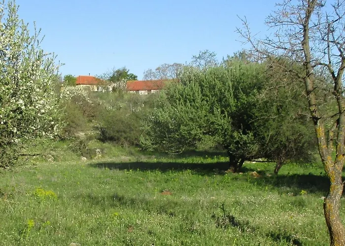 In Leonidio Near Mount Parnon * Peleta